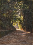 Тенистая аллея. Ницца. 1908
